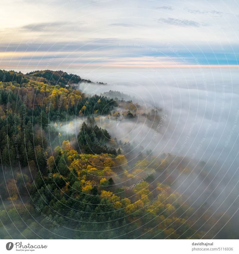 Panoramablick auf den Odenwald bei Lampenhain und Nebel über dem Rheintal. lampenhain Antenne Luftaufnahme Wald Baum Herbst Deutschland Europa Wahrzeichen Sicht