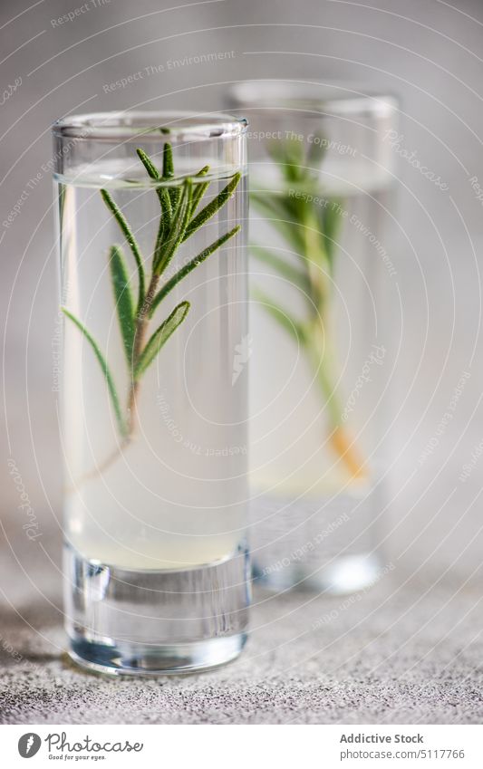 Gläser mit Rosmarin-Wodka Alkohol Amuse-Gueule Hintergrund Getränk chacha kalt Beton trinken Glas Kraut Essenszeit serviert Spirituosen Tisch Vodka weiß