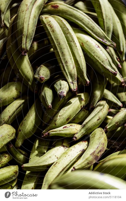 Haufen unreifer Bananen auf dem Markt frisch grün viele Frucht Lebensmittel Hintergrund organisch Vitamin Ackerbau natürlich lokal Bauernhof Schonung verkaufen