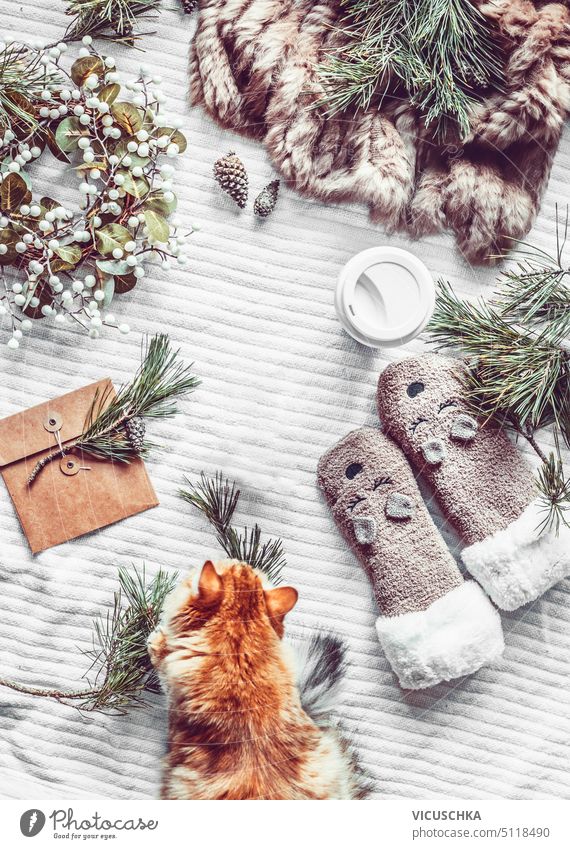 Gemütliches Winter- und Weihnachtsleben mit Tannenzweigen, warmen handgefertigten Socken, Ingwerkatze und Umschlag auf weißer Decke, Ansicht von oben. Rahmen