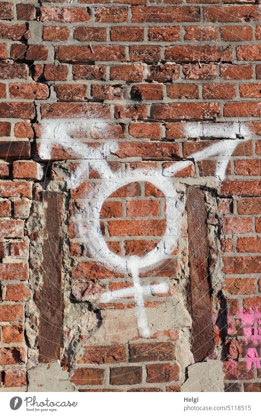 Symbol für Diversität mit weißer Farbe auf eine alte kaputte rote Backsteinmauer gemalt divers Zeichen Mauer Wand männlich weiblich Vielfalt Vielfältigkeit