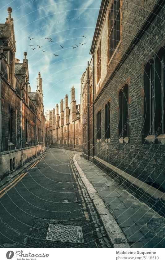 Strasse in der berühmten Universitätsstadt Cambridge in England touristisch bekannt UK United Kingdom strasse Backstein Backsteinhäuser strassenfotografie