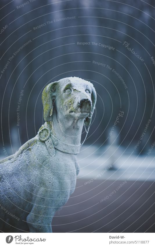 Statue eines Hundes im Winter kalt kühl Frost Raureif gefroren frieren frostig Wintertag Kälte Wintereinbruch Winterstimmung winterlich