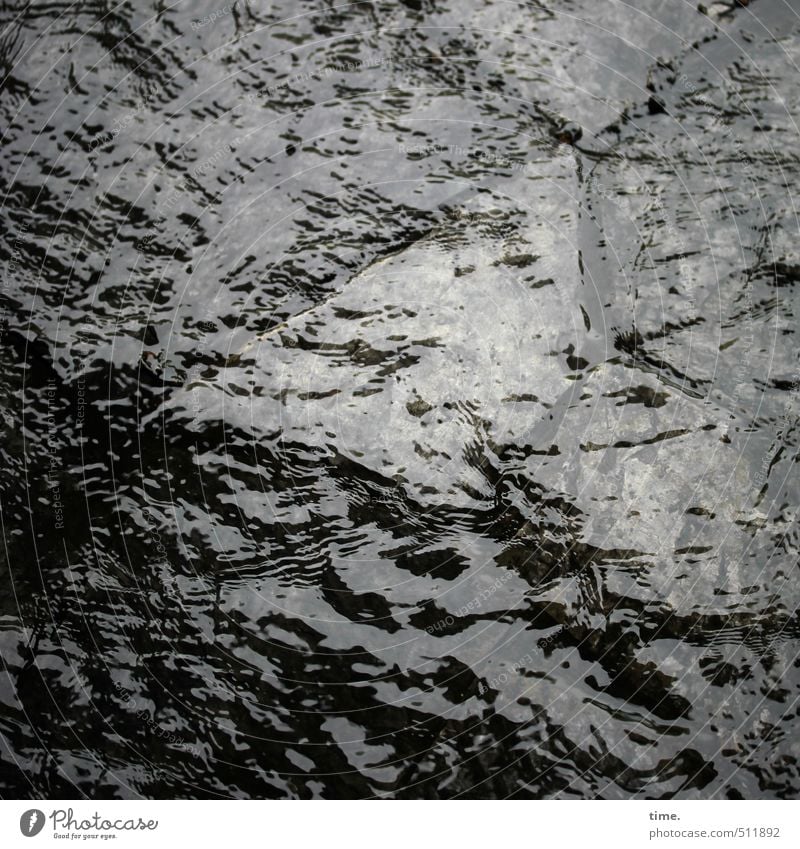 Sturzbach Wasser Wassertropfen Unwetter Regen Wege & Pfade Steinplatten Fußweg Flüssigkeit nass Bewegung Kreativität Kunst Leben nackt Natur fließen