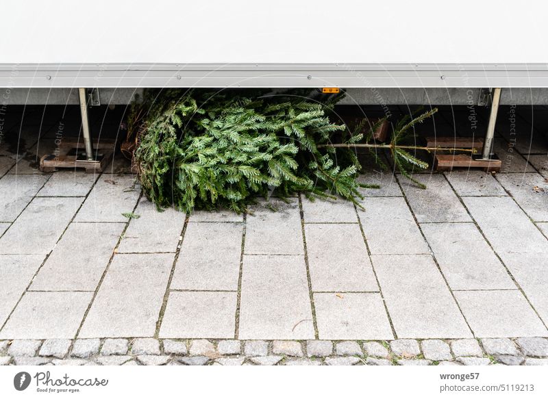 Schlecht versteckter Weihnachtsbaum | Frohe Weihnachten Heiligabend Weihnachtsmarkt Versteck Reservierung Weihnachten & Advent Weihnachtsstimmung der letzte