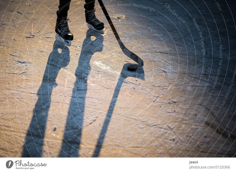 Eishockey auf dem zugefrorenen See Freizeit & Hobby Dorf Sport Spielen Schlittschuhe Licht Schatten Winter Frost kalt Eisfläche Freude Kontrast Mensch
