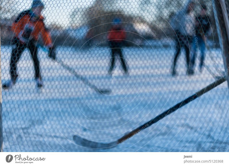 Jugendliche spielen Eishockey Winter Frost Freizeit & Hobby kalt Schnee Schlittschuhe gefroren Eisfläche Spielen Menschen Sport Bewegung See Freude Spaß