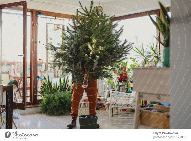 Mann beim Aufstellen eines Weihnachtsbaums im Wohnzimmer Spaß Freude genießend tragen Winter Feiertage heiter Dezember Dekoration & Verzierung Weihnachten