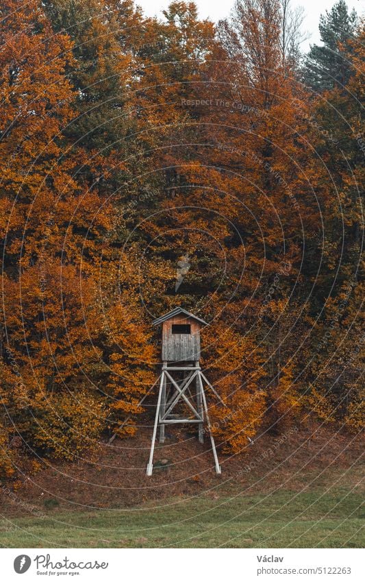 Wunderschöner bunter Herbstwald mit einem Jagdsitz, der die Wiese vor ihm beobachtet. Strazovske vrchy, Slowakei, Osteuropa. Die Schönheit des Novembers