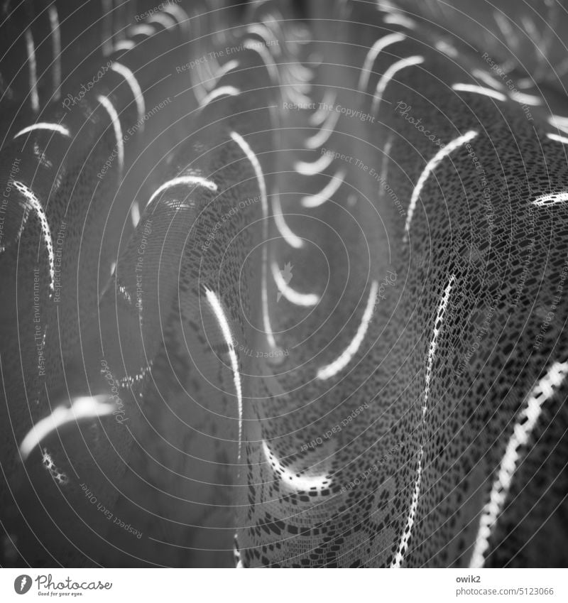 Lichtspur Wellenlinie Faltenwurf geheimnisvoll Lichteinfall gewellt Jalousie Detailansicht geschwungene Linien Stoff hängen abstrakt netzartig Lichterscheinung