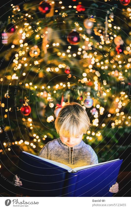 Eine Weihnachtsgeschichte - Kind liest ein Buch vor dem Weihnachtsbaum Weihnachten Zauber Weihnachtszauber Lesen Niedlich Vorfreude leuchten Weihnachtsstimmung