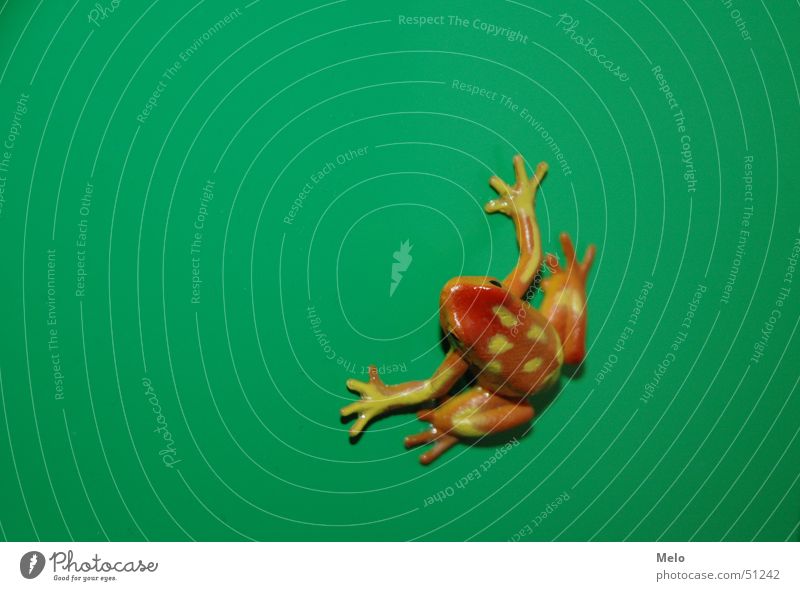 frog rot grün Schrank Frosch orange relb