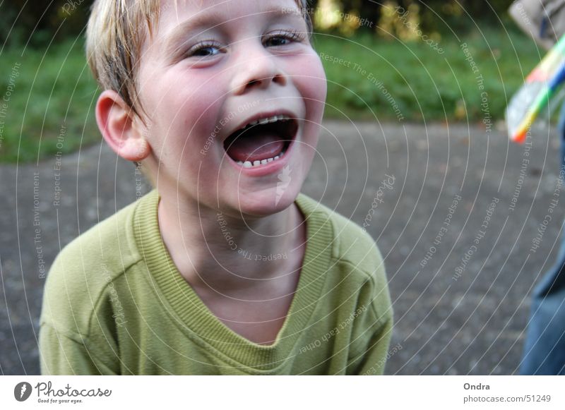 Fröhlichkeit steckt an Kind Junge maskulin Porträt Ausgelassenheit Mensch lachen Glück