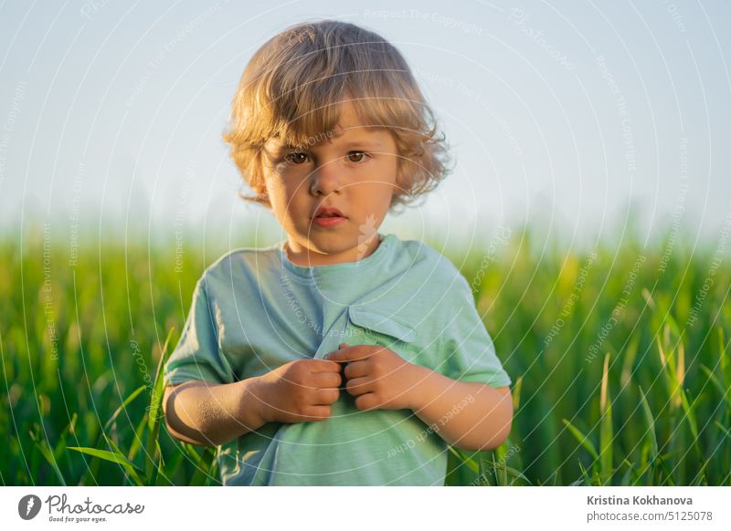 Porträt eines lockigen Kindes, das in einem frischen grünen Weizenfeld steht. Lovely Kleinkind Junge erforscht Pflanzen, Natur im Frühling. Kindheit, Zukunft, Landwirtschaft, Ökologie Konzept