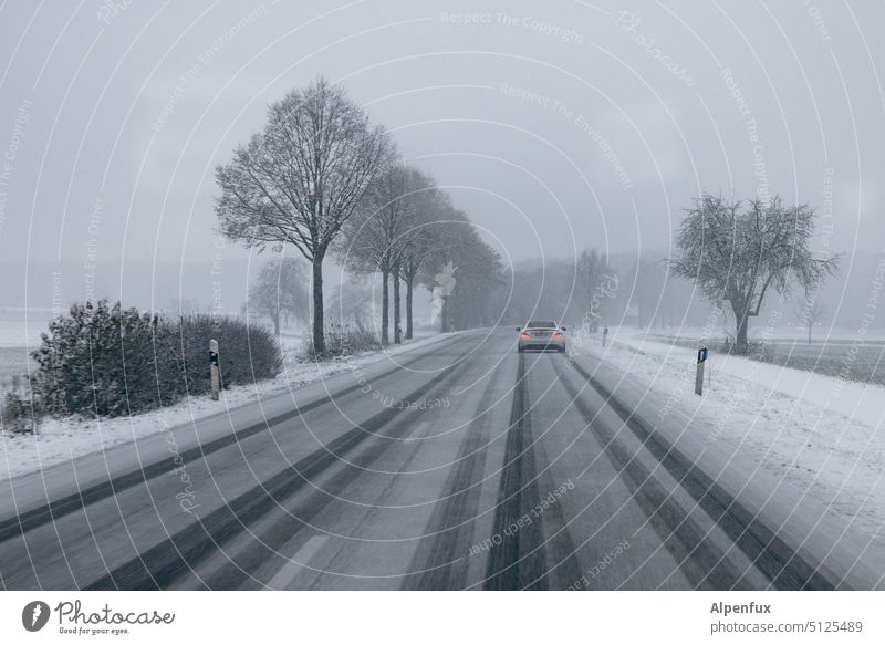 Winterfreuden Schnee Schneefall Straße Straßenverkehr Frost Außenaufnahme schlechtes Wetter kalt gefährlich Verkehrswege Eis strassenglätte Autofahren