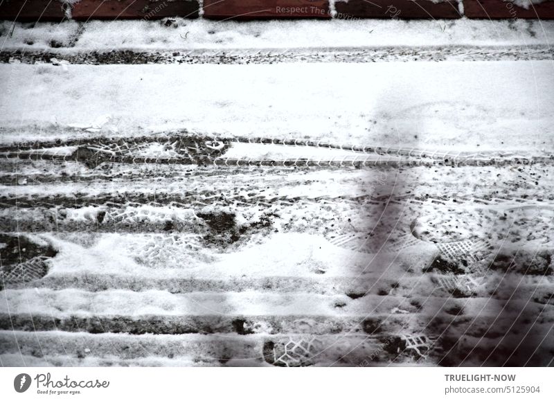 Nach leichtem Schneefall zeigen sich diverse Spuren der Bewegung auf dem Trottoir Vielfalt erster Schnee Gartenweg Radspuren Fußspuren Pfotenspuren Fußabdruck