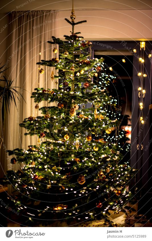 Geschmückter und beleuchteter Weihnachtsbaum Weihnachten Weihnachten & Advent Tannenbaum Weihnachtsdekoration festlich Dekoration & Verzierung Tradition