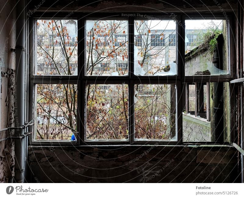 Blick aus einem zerstörten Fenster auf alte Fabrikhallen. In diesem Lost Place holt sich die Natur zurück, was ihr genommen wurde. lost place lost places