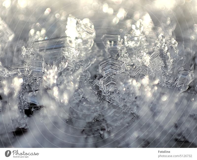 Durchsichtige fein Eiskristalle in ganz unterschiedlichen Größen und Formen ragen filigran in die Höhe. Winter kalt Frost gefroren frieren Nahaufnahme