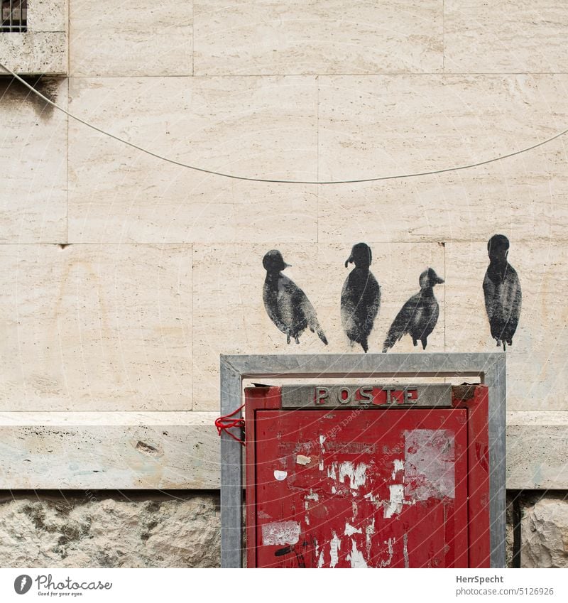 Grafitto-Vögel auf Briefkasten sitzend Postkasten grafitti urban wand stadt rot Vogel schwarz vier grafitto farbe mauer Italien wandmalerei niedlich lustig