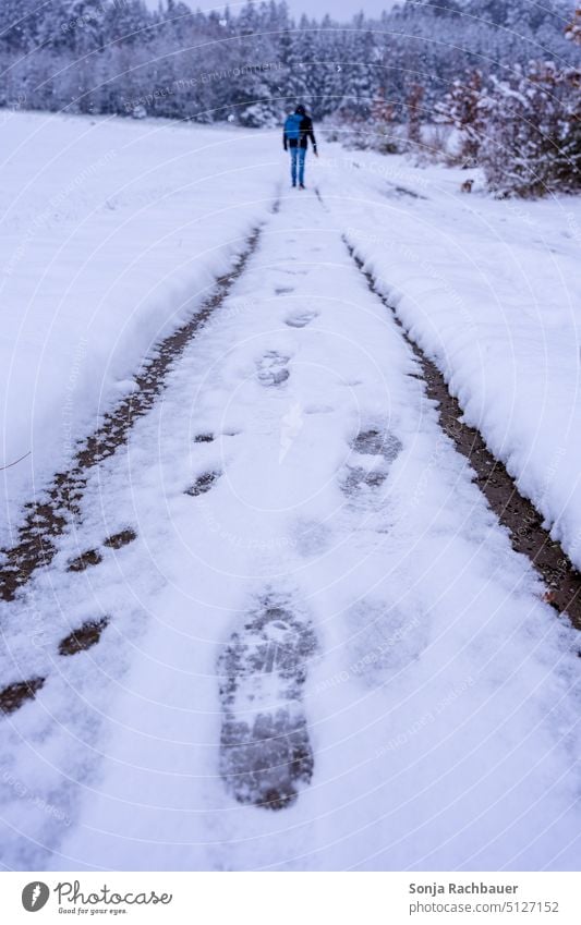 Rückansicht von einem Mann und einem kleinen Hund im Schee Schnee Fußspur Winter Wanderung Wege & Pfade kalt Schneespur Frost Fußspuren weiß Eis Tag