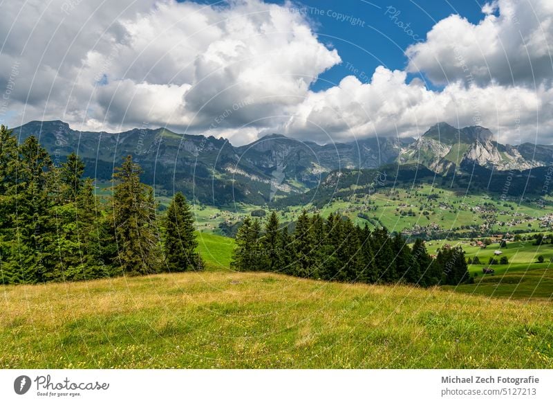 Ein paar Eindrücke von einer Wanderung auf der Gamsalp Wald Abenteuer extrem Himmel grün Natur Schweiz wandern Schweizer Gipfel im Freien Wahrzeichen Hügel
