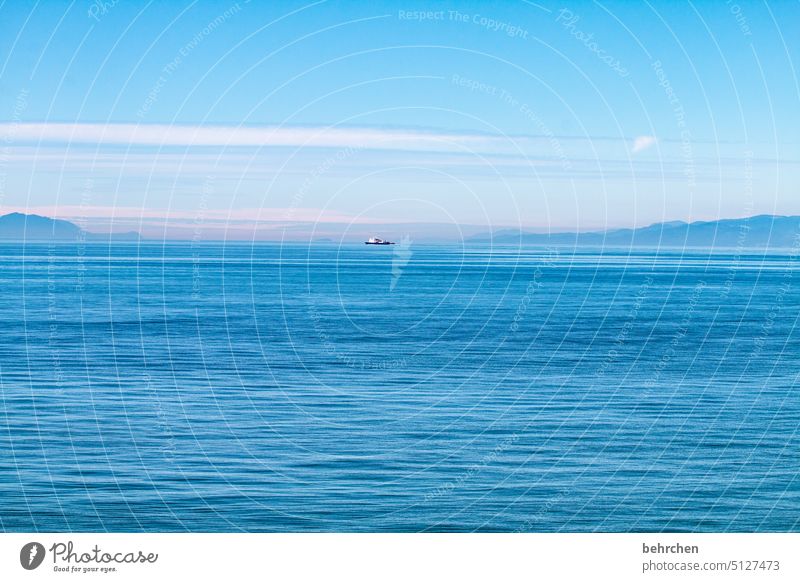fahrt ins blaue Weitblick stille Vancouver Ruhe Landschaft weite Fernweh Meer Idylle Himmel Sehnsucht Wellen Außenaufnahme Küste Freiheit Tourismus