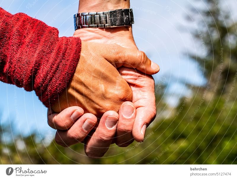 festhalten beschützen Finger Gefühle Zufriedenheit Vertrauen nähe gemeinsam Sicherheit Schutz Geborgenheit Zusammensein Liebe Hand in Hand Paar Mann Frau