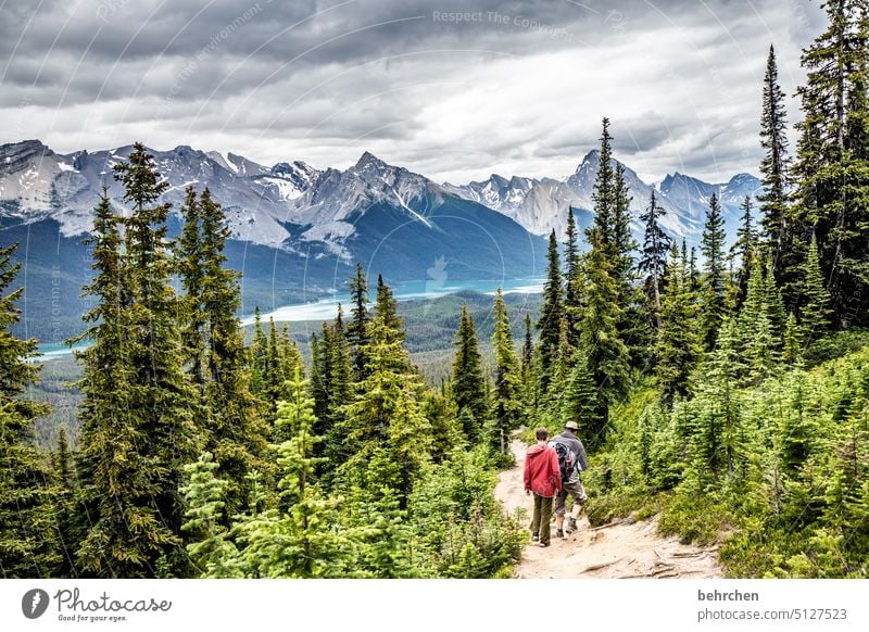 rotjäckchen und der wolf Jasper National Park Alberta Himmel Nordamerika Landschaft fantastisch Außenaufnahme besonders weite Natur Bäume Abenteuer wandern