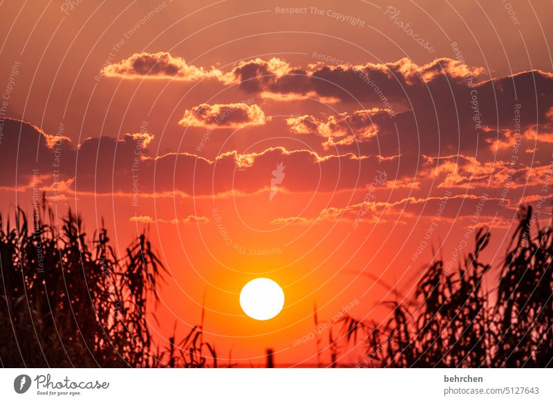 klangmalerei | romantik Glaube Hoffnung Abenddämmerung Sonnenschein Sonnenuntergang Himmel fantastisch Wolken Etoscha-Pfanne Etosha etosha national park Licht