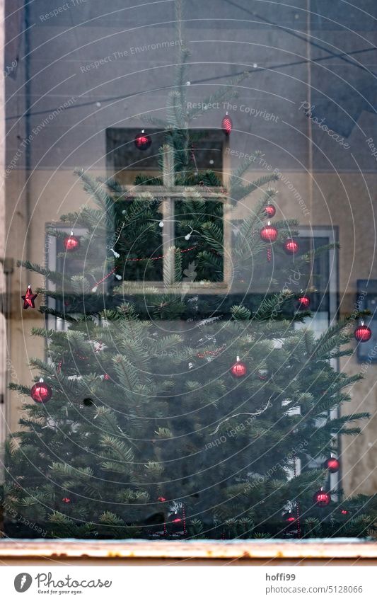 Bald ist wieder Weihnachten Weihnachten & Advent Weihnachtsdekoration Weihnachtsbaum Tanne weihnachtlich Baumschmuck Tannenbaum Dekoration & Verzierung