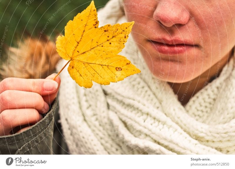 Hallo Herbst! feminin Nase Mund Hand 1 Mensch Blatt Jacke Schal festhalten natürlich gelb Stimmung Beginn Endzeitstimmung Vergänglichkeit Wandel & Veränderung