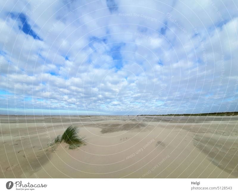 naturverbunden | scheinbar unendliche Weite am Strand von Borkum Sand Insel Nordsee Nordseeinsel Meer Himmel Gras Grasbüschel Sandverwehungen Wolken Sommer