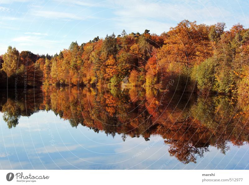 Bärensee 2013 | doppelt hält besser Natur Landschaft Herbst Schönes Wetter Wald Küste See mehrfarbig herbstlich Seeufer Spiegelbild Stimmung Farbfoto