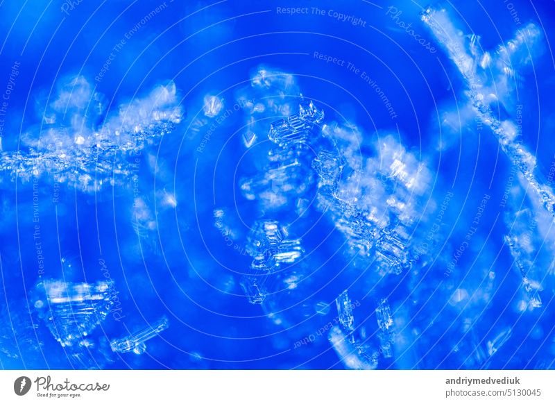 Nahaufnahme von Schneekristallen, die von blauem Sonnenlicht beleuchtet werden. Winterlicher Hintergrund. Makro einer echten Schneeflocke: große stellare Dendriten mit hexagonaler Symmetrie, langen eleganten Armen und dünnen, transparenten Strukturen
