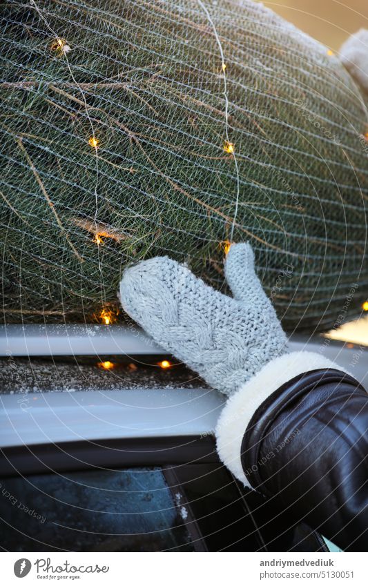 Verpackung Weihnachtsbaum mit Netz und Girlanden auf einem Dach ihres Autos, immer bereit für einen Urlaub. Idee von Weihnachten Stimmung und Feier. Frau trägt Wintermantel und gestrickte Fäustlinge.