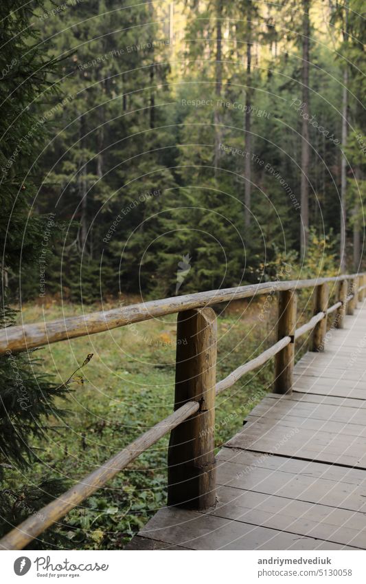 Touristische Holzbrücke mit Zaun im grünen Wald Waldgebiet Steg Natur reisen im Freien Reling niemand Laufsteg Herbst Holzplatte Spaziergang natürlich Wälder