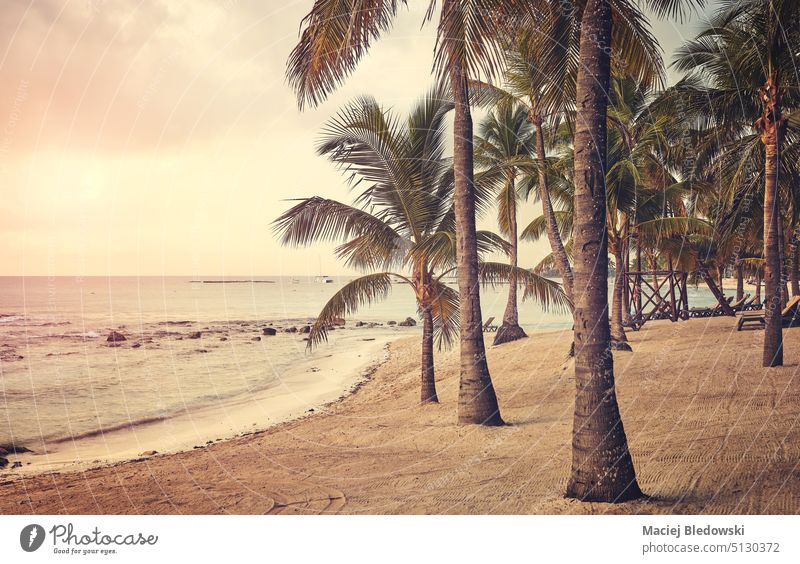 Farbiges Bild eines karibischen Strandes bei Sonnenuntergang. Mexiko Sand Handfläche Yucatan Sommer schön Natur retro Urlaub MEER tropisch reisen Karibik Himmel