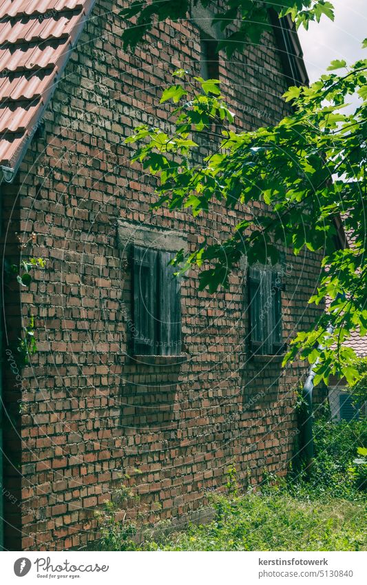 Altes Backsteinhaus mit Fensterläden unter Bäume Haus Vergangenheit Vergänglichkeit Verfall alt Mauer Farbfoto Fassade Menschenleer Bauwerk Außenaufnahme