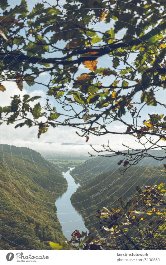 Fluss im Tal mit herbstlichen Blättern Wasser Natur Wolken wolkig Herbst Herbstlaub Wald Menschenleer menschenlos farbig Farbfoto Außenaufnahme Herbstwald Bäume