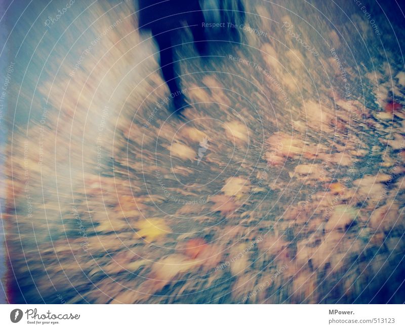 bewegt feminin Beine Fuß 1 Mensch rennen Bewegung laufen braun orange Herbstlaub gehen Wege & Pfade Blatt Unschärfe abstrakt Farbfoto Gedeckte Farben
