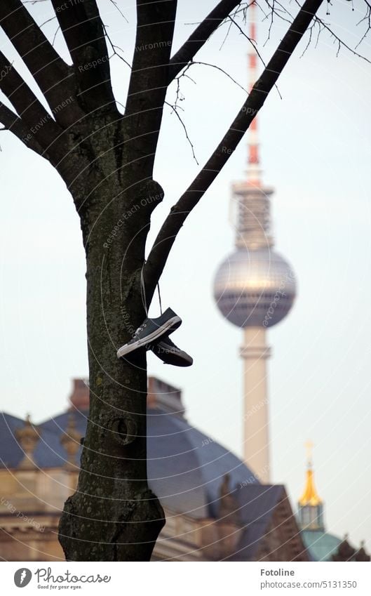 Ein paar Schuhe hängen an einem Ast eines Baumes. Unscharf im Hintergrund, der Berliner Fernsehturm. Berlin-Mitte Stadtzentrum Hauptstadt Architektur