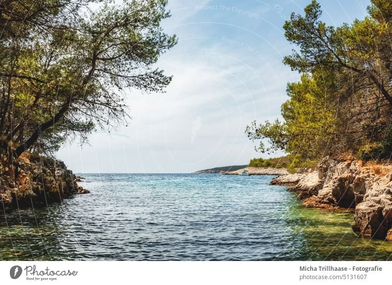 Einsame Bucht auf Kap Kamenjak / Kroatien einsame Bucht Meer Wasser Bäume Sträucher Felsen Steine Istrien Himmel Wolken Sonne Sonnenschein Wellen Urlaub reisen
