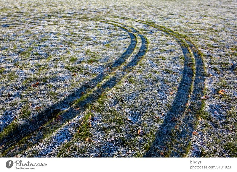 Reifenspuren auf einer gefrorenen Wiese Frost Winter Schneespur kalt Spuren Offroad Kurve Kurvenfahrt