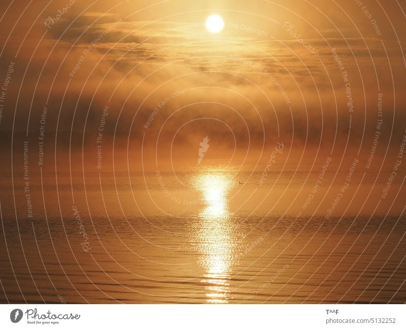 Müritz am Morgen - Sonnenaufgang mit schöner Wolkenbildung und Haubentaucher bei leichtem Wellengang See Binnensee Morgenröte Morgenstimmung Morgenrot Taucher