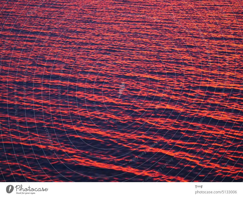 Müritz am Morgen - schöne Wellenbildung bei Sonnenaufgang – das rote Sonnenlicht spiegelt sich auf dem Wasser See Binnensee Mecklenburg Wellenschlag Wellengang