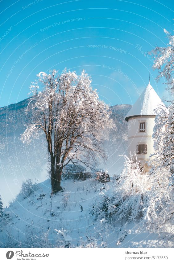 Ein Schloss im Winter schloss winter schee himmel baum burg landleben weiss