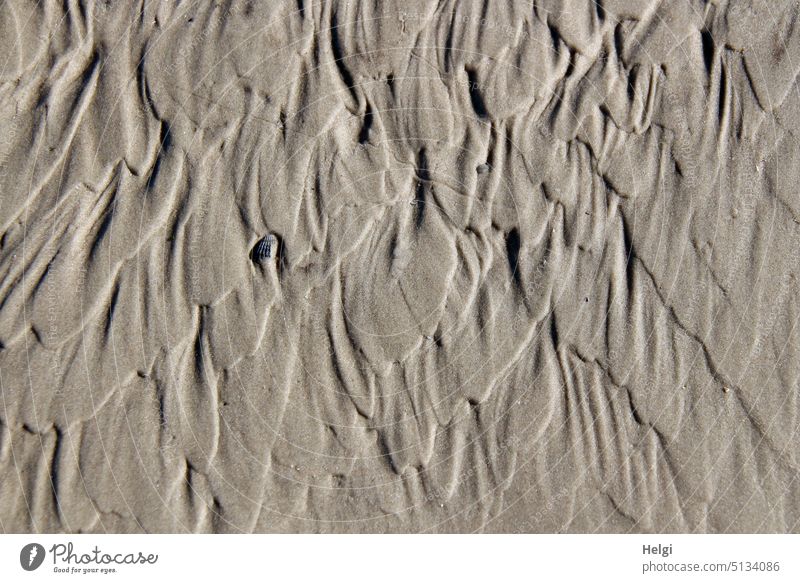 Sandstrukturen Strand Küste Insel Nordseeinsel Ferien & Urlaub & Reisen Sommer Außenaufnahme Natur Farbfoto Muster Menschenleer Strukturen