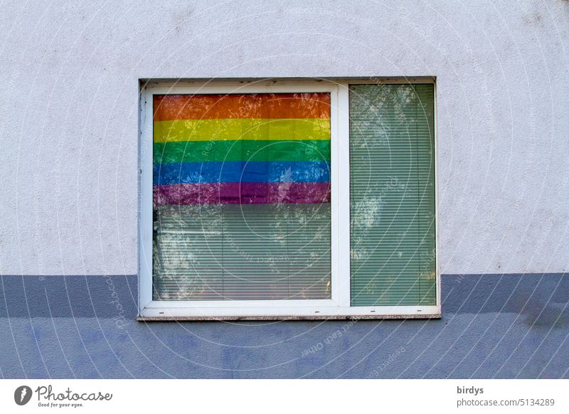 Regenbogenfahne in einem Fenster Homosexualität Gleichstellung Toleranz Liebe Vielfalt lgbtq Gleichheit Symbole & Metaphern Stolz Transgender lesbisch schwul