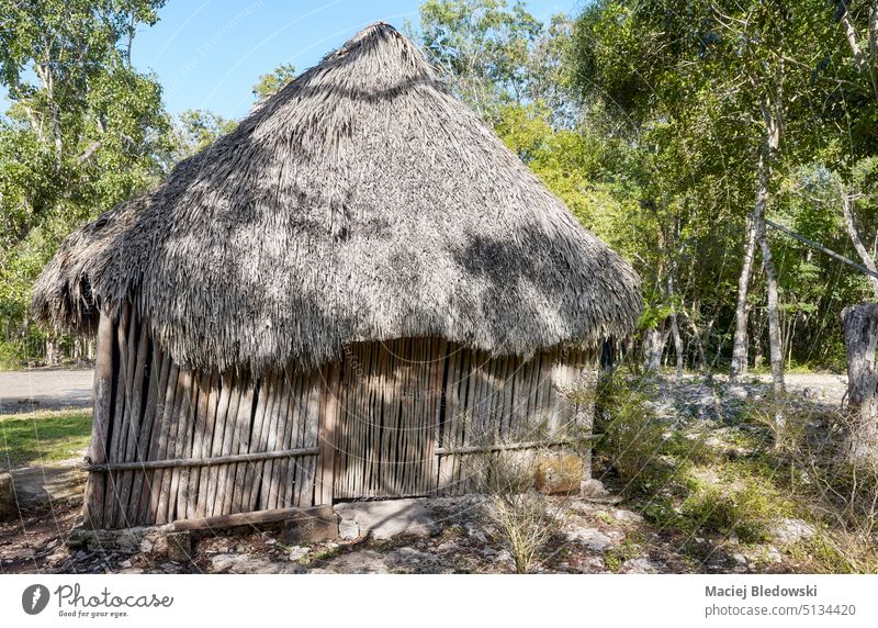 Bild einer mexikanischen Maya-Hütte im Dschungel. tropisch Strohdach Natur Dorf Holz Haus Architektur traditionell heimwärts natürlich Gebäude Struktur Dach